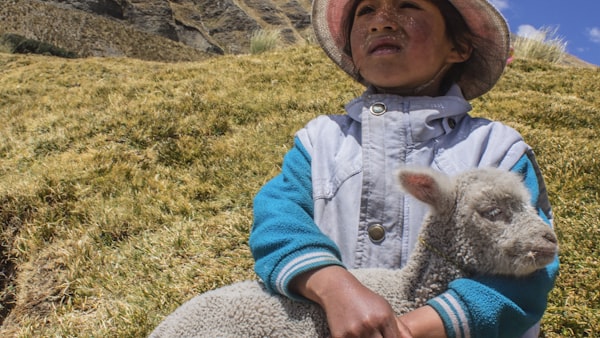 NBA季后赛十佳球集锦 - 斯蒂芬·库里超远三分绝杀