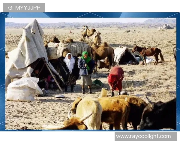 哈萨克族历史文化传承与现代发展探析