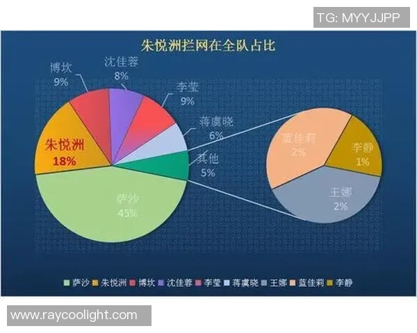 北京排球队控制打法深度分析与战术解读